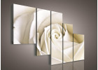 Bílá růže 147A S4B - pětidílný